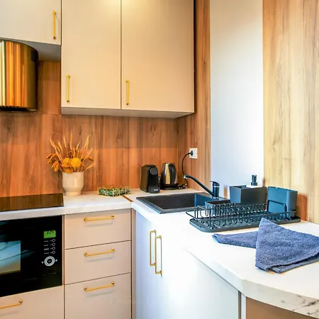 Apartment Radisson Luxe - At Victoriei Avenue *